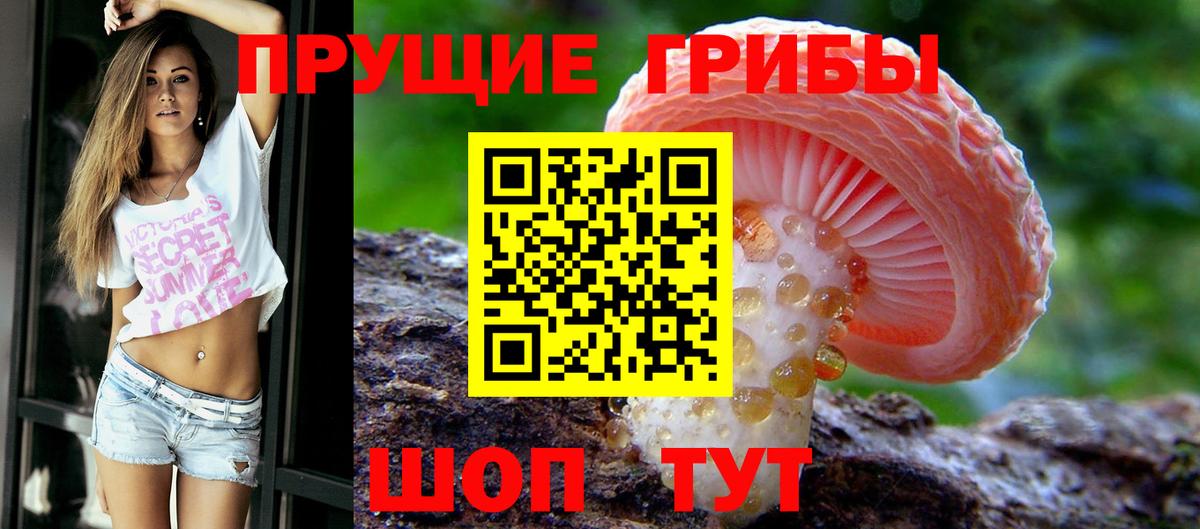 Псилоцибиновые грибы Magic Shrooms  купить закладку  Дзержинск  Вход с VPN 